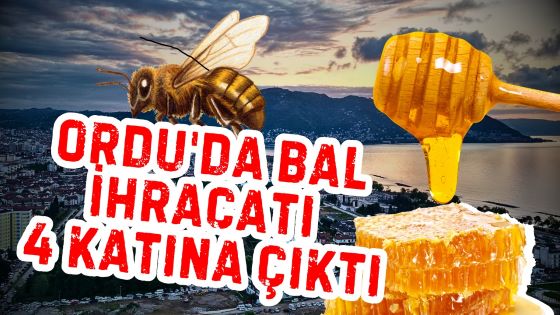 Ordu’da Bal İhracatı 4 katına Çıktı